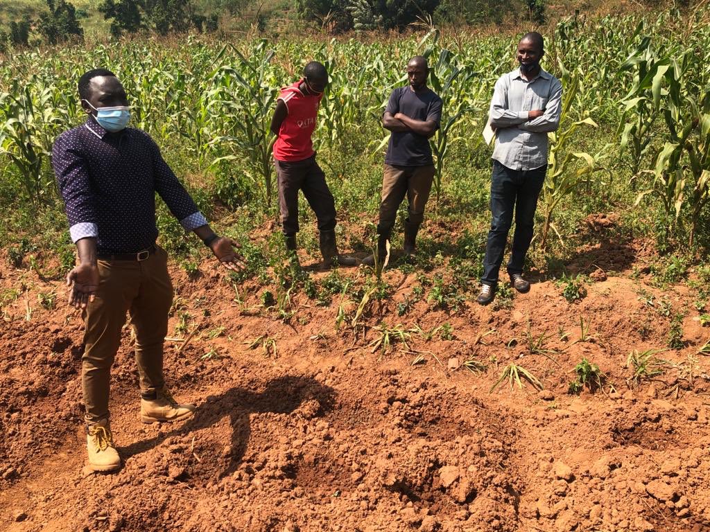 yab_booster's tweet photo. Youth investment in agriculture is a strong force that can ensure food security and provide employment opportunities to many.
#YABB #agriculturalentrepreneurship #RwOT https://t.co/ZjYPo953XL