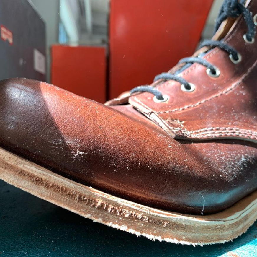 Dog Leap Boots tweet media
