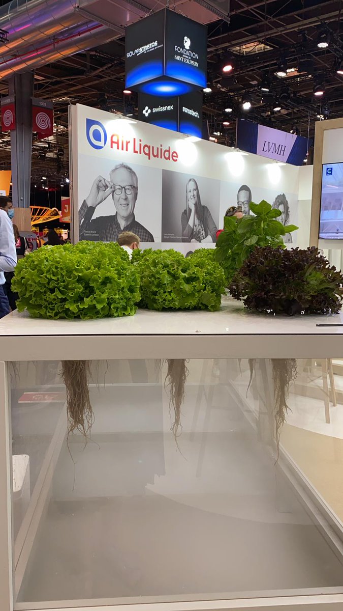 Corinne_Bordry's tweet image. 📣 It’s D-Day 📣
So pleased to be there again! Come &amp;amp; meet us at #VivaTech and discover our partner startups. Both IRL and Digital! @_FLYING_WHALES_, @SmartLettuce, @EKOSCAN, @localsolver, @Sense4Care and @IoTizeNews  #TechForTheEnvironment 🌍 #TechforSociety