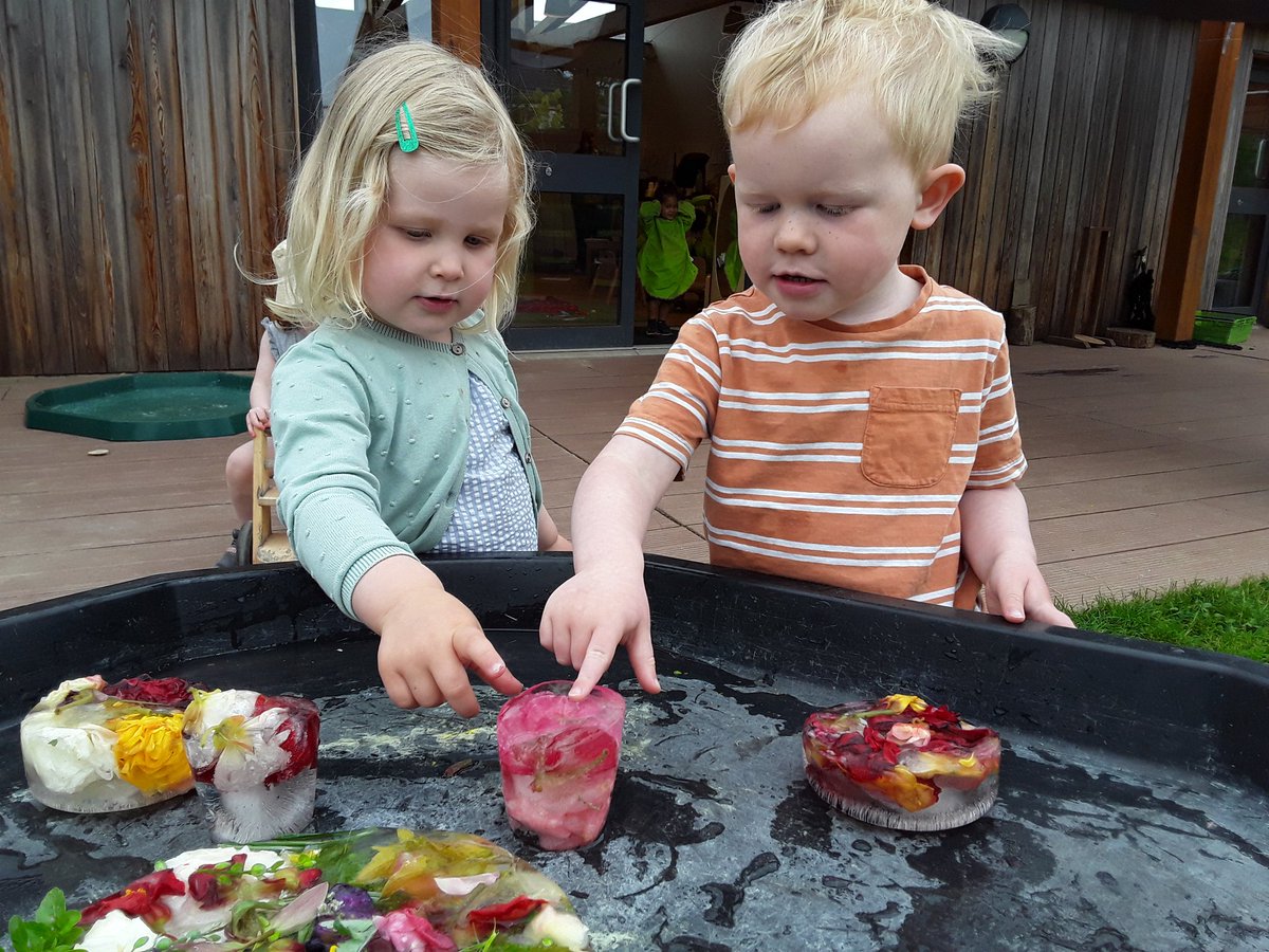 Ashbridge Nursery at Maxy Farm tweet media