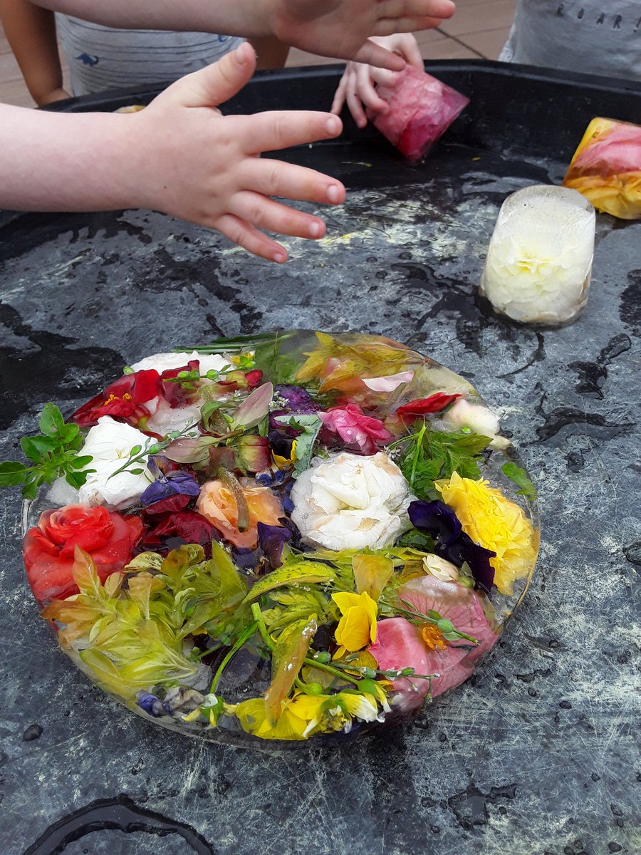 Ashbridge Nursery at Maxy Farm tweet media