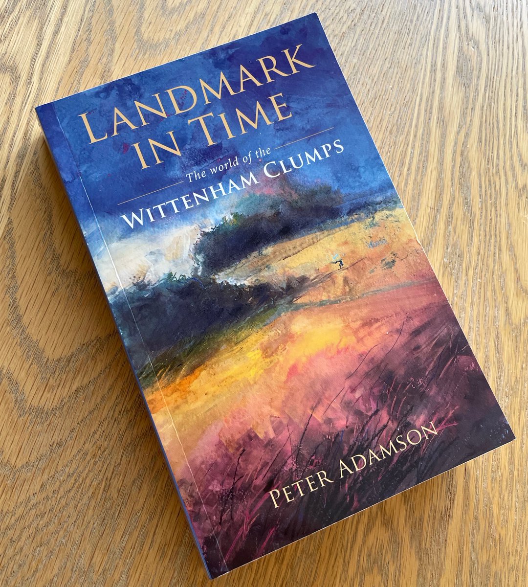 rodcraigartist's tweet photo. A recent painting of #wittenhamclumps for a dear friend @Peteradamson46 It had been a very long time since I designed a book cover! Looks like a really fascinating book too, can't wait to read it. https://t.co/tNxnGflYML