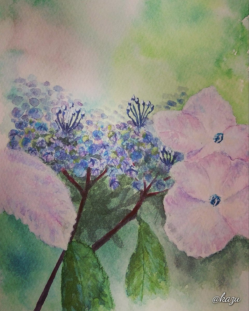 紫陽花の絵 Twitter Search 紫陽花の絵 Twitter Search