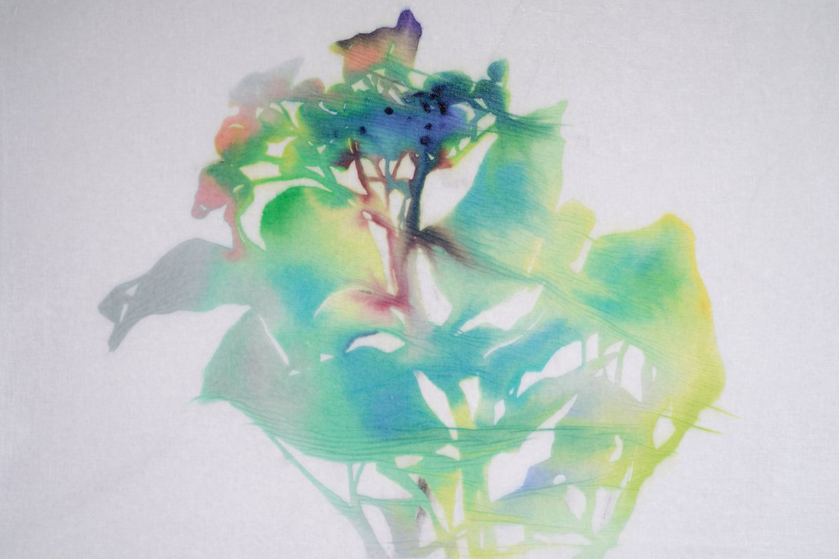 ChordalColors's tweet photo. #染め
#handdye #contemporaryart #tree #craft #kogei #textileart #textileartist #糊染め #工芸 #染色 #美術 #fineart #japaneseart #日本美術 #dyework #modernart #instagramart #comtemporarypainting #contemporarytextiles #drawing #artinres #sketch #handdyedthreads #MikaIwai #岩井美佳 https://t.co/CncKjB5gDi