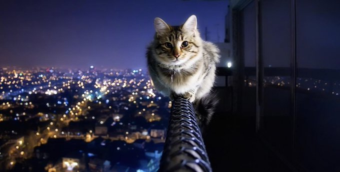 إطلالة على مدينة الخبر وضواحيها tweet media