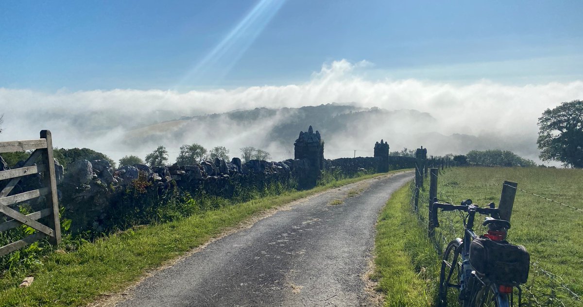 Graham Wilson tweet media