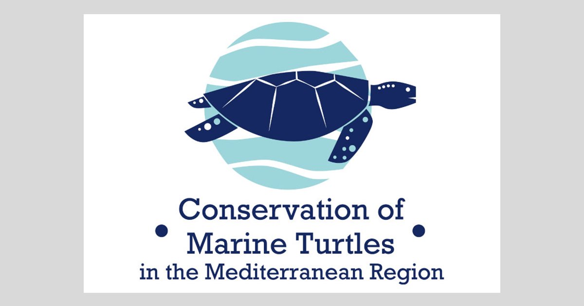WWF_TURKIYE's tweet photo. ''Akdeniz‘de Deniz Kaplumbağalarının Korunması'' Projesi hakkında daha fazla bilgi almak için projenin websitesini ziyaret edebilirsiniz: https://t.co/fk6zGTmXs5
#ARCHELON #DEKAMER #MEDASSET #MedPAN #NMPZ #SPARAC #WWFTurkey #WWFGreece #WWFTunisie #MAVAFoundation https://t.co/iPgt0nBBZf