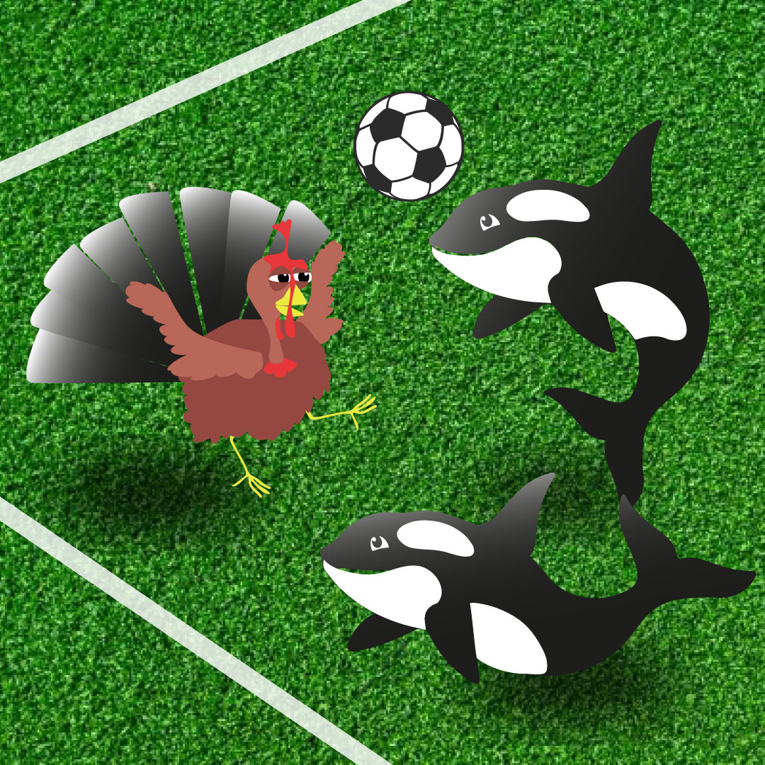 SAY WHAT YOU SEE ⚽ What are your predictions for tonight's match?
 
#turkeyvwales #euro2020 #eurospredication