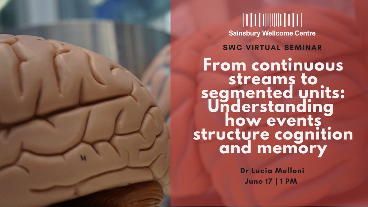 SWC_Neuro's tweet photo. Interested in how events structure cognition and memory? Don't miss this week's #SWCSeminar with Dr Lucia Melloni on Thursday at 1pm. Register here: https://t.co/9clGt6Ga39 https://t.co/6nc9QqiUlC