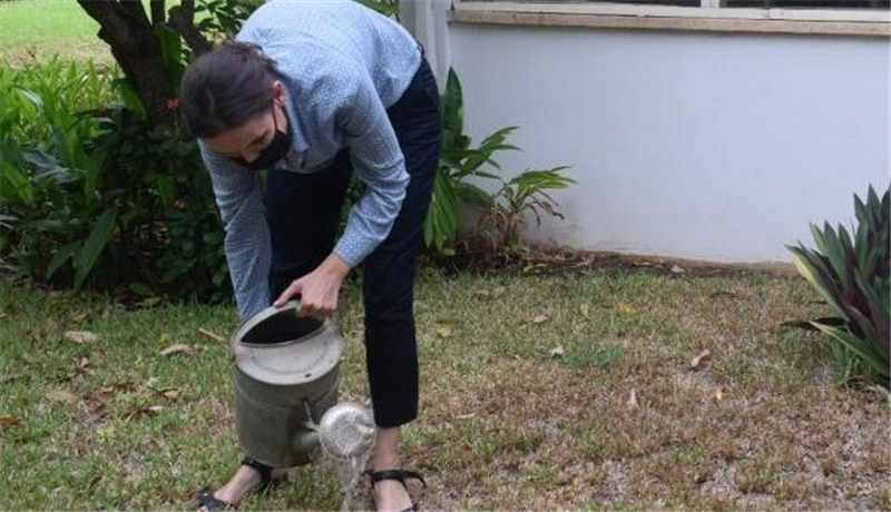 Netherlands Embassy Joins Green Ghana Campaign

In solidarity with government’s nationwide tree planting initiative, the Embassy of the Netherlands in Ghana planted some trees at the embassy ground and ambassadors’ residences.

Source: buff.ly/3xs0tiL