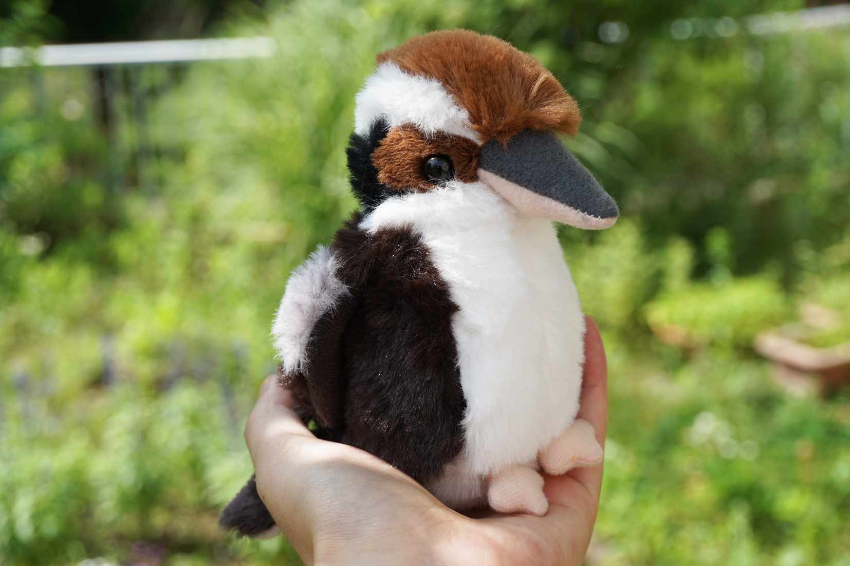 足立区生物園 على X: 足立区生物園 على X: