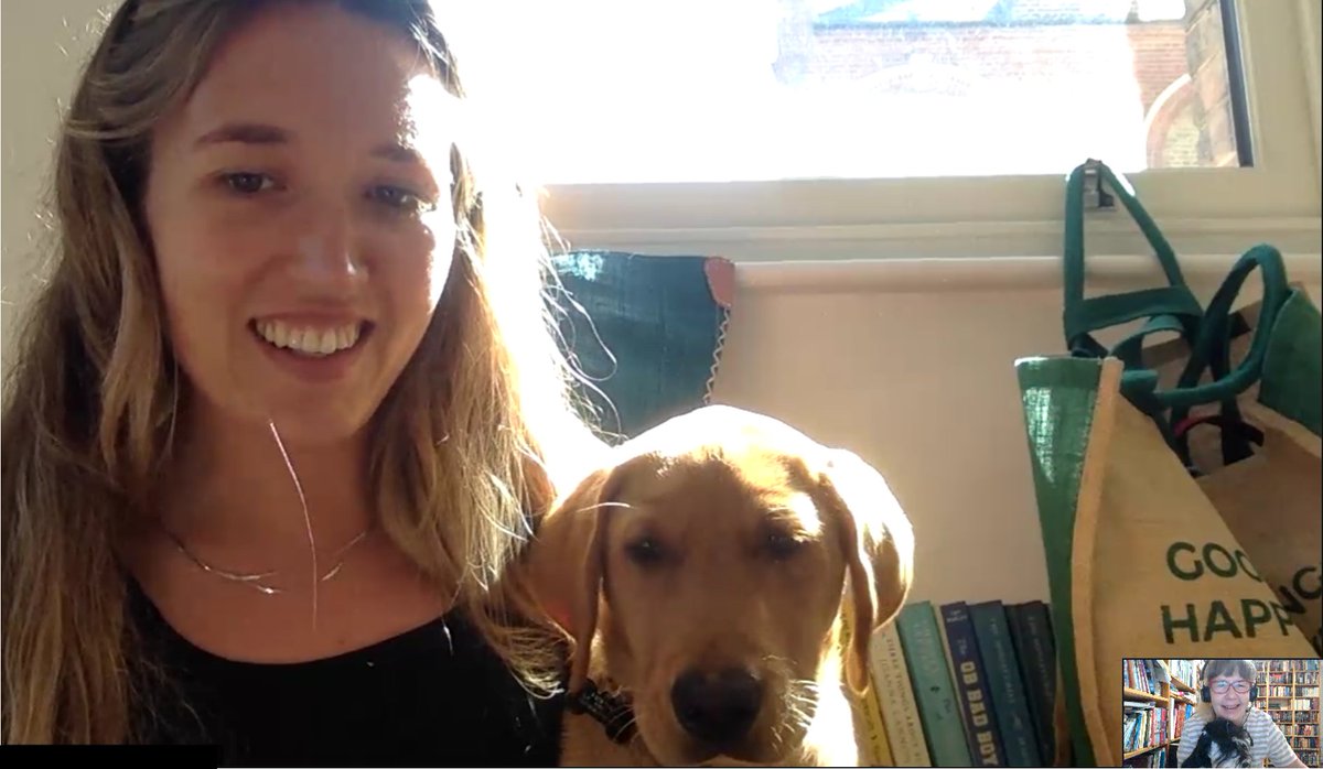 kalske's tweet photo. Loki and Emmi saying woof over a video conference - the best way to start a meeting and put a smile on your face. 😀🐾🐶🐕🇬🇧🇫🇮 #dogsoftwitter #dogsoftelecom #Emminseikkailut
@C_BeaumontWood https://t.co/LrKM0V5iCJ