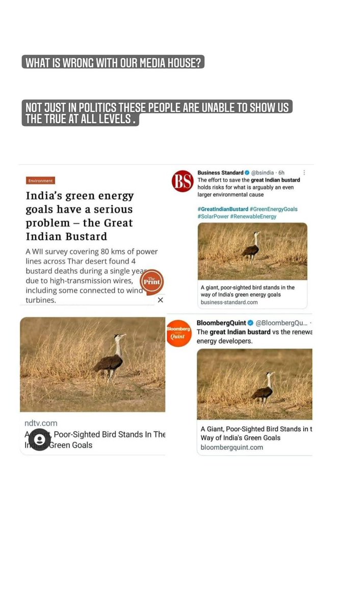 00_manni's tweet photo. The issue of power lines collision being fatal for the bustards was highlighted since always Yet renewable energy projects were being planned aggressively in and around it's habitat. what a wonderful kind mismanagement of projects and misleading reporting it is @ndtv @moefcc https://t.co/1sL32oTuDA