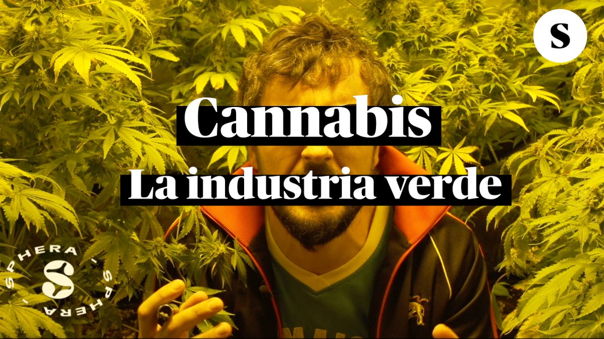 ElSaltoDiario's tweet photo. 🌱 Cannabis, la industria verde
https://t.co/5EqnWtBldp
 
📺  Nuevo vídeo para @SpheraNow realizado por @EconoCabreado Javi Ruiz y @Defarge1789 

👉🏼Suscríbete a El Salto para que hagamos más vídeos como este
https://t.co/0n2ZltZzhm https://t.co/tsPJMaxy3t