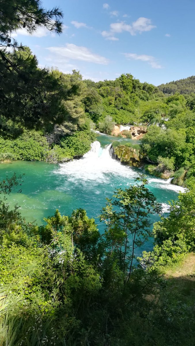 AMOS Bordeaux tweet media