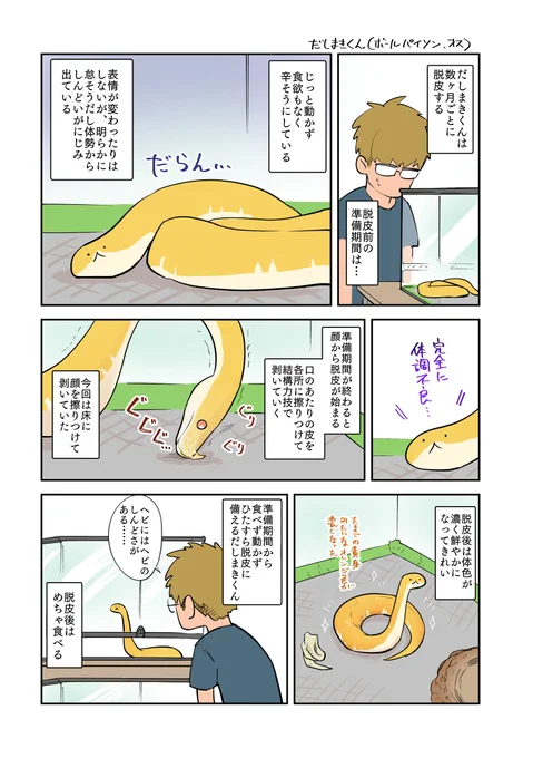 ヘビのしんどそうな期間 