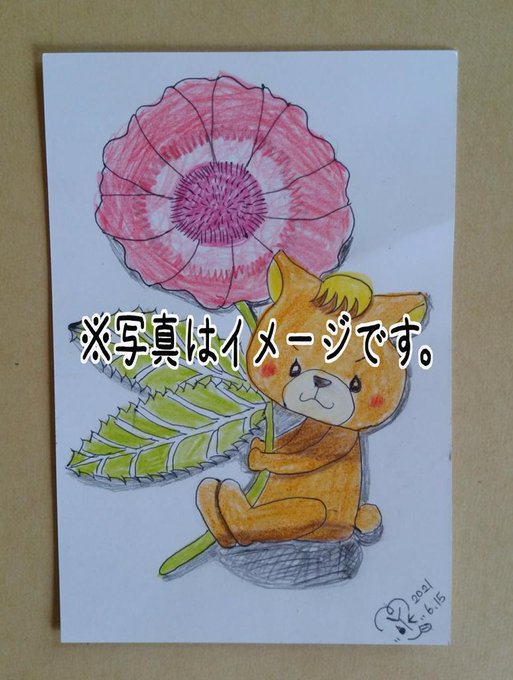 くまと花のtwitterイラスト検索結果