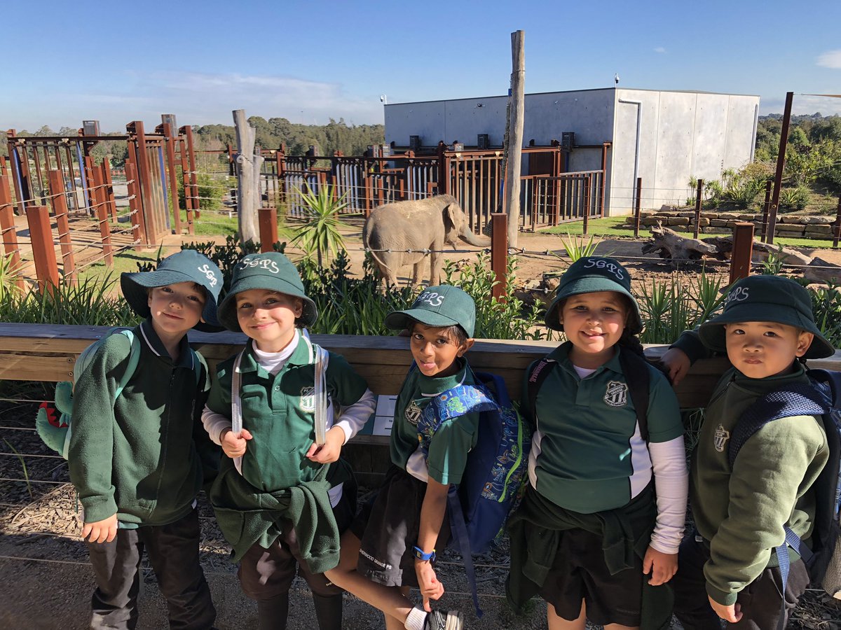 NicoleB001's tweet photo. Stage 1 at the zoo @Sherwood_Grange https://t.co/k7H9HprlfS