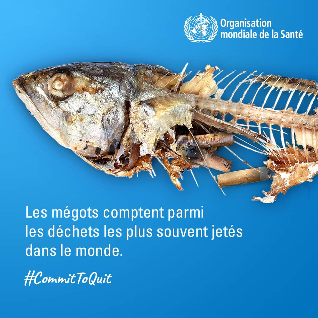 Les mégots de cigarettes comptent parmi les déchets les plus souvent jetés dans le monde.

#CommitToQuit — Sauvez votre santé ♥️ et l'environnement 🌳
