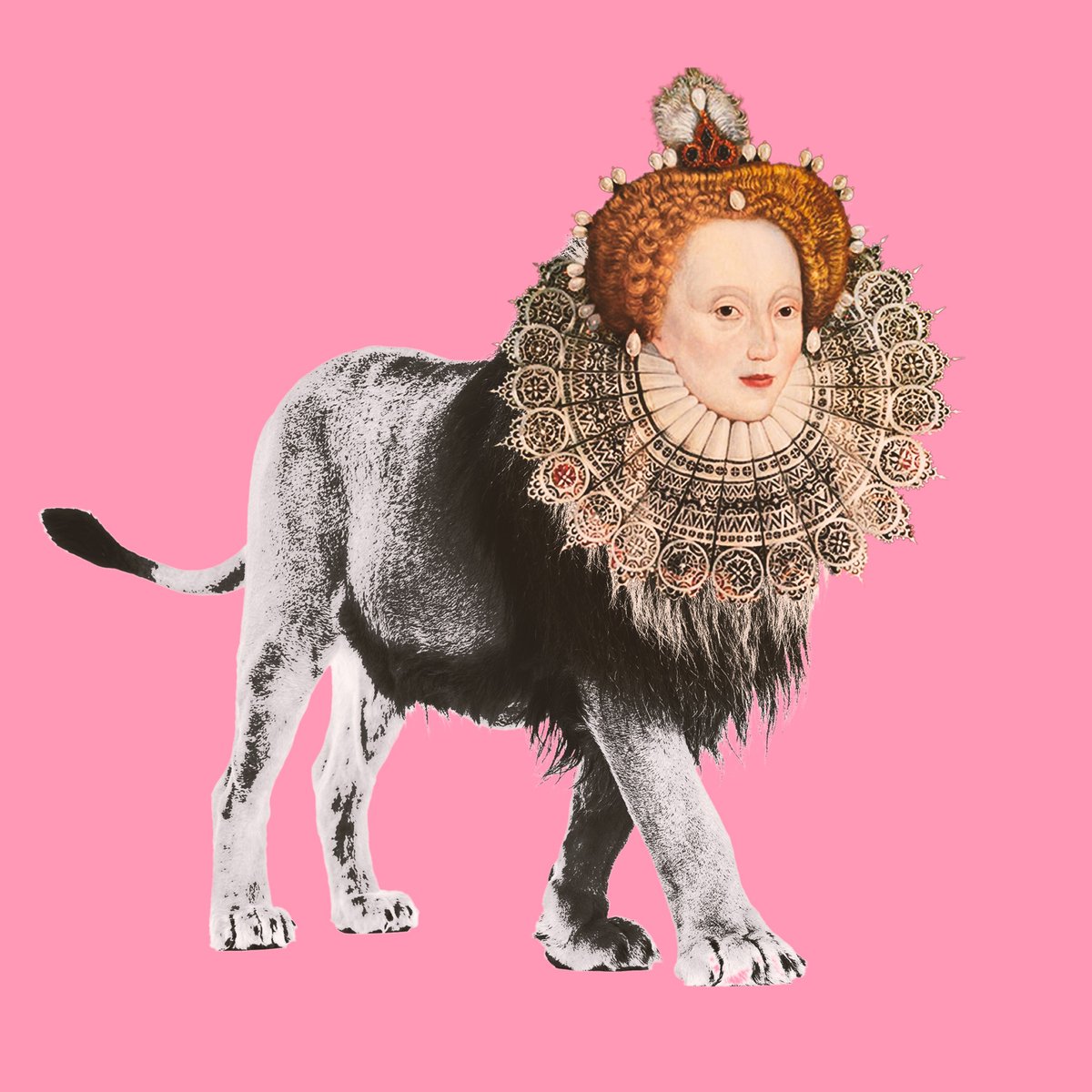 mane is not necessarily a biological thing.

#queen #Lion #nftart