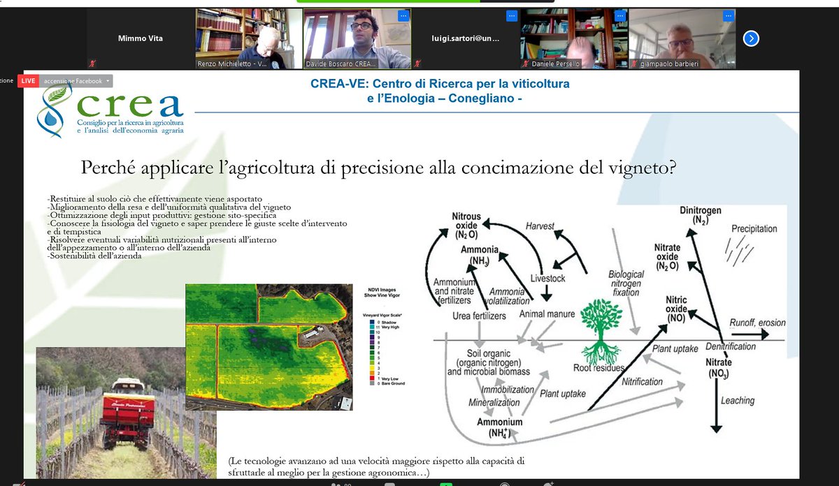 Mimmo Vita tweet media