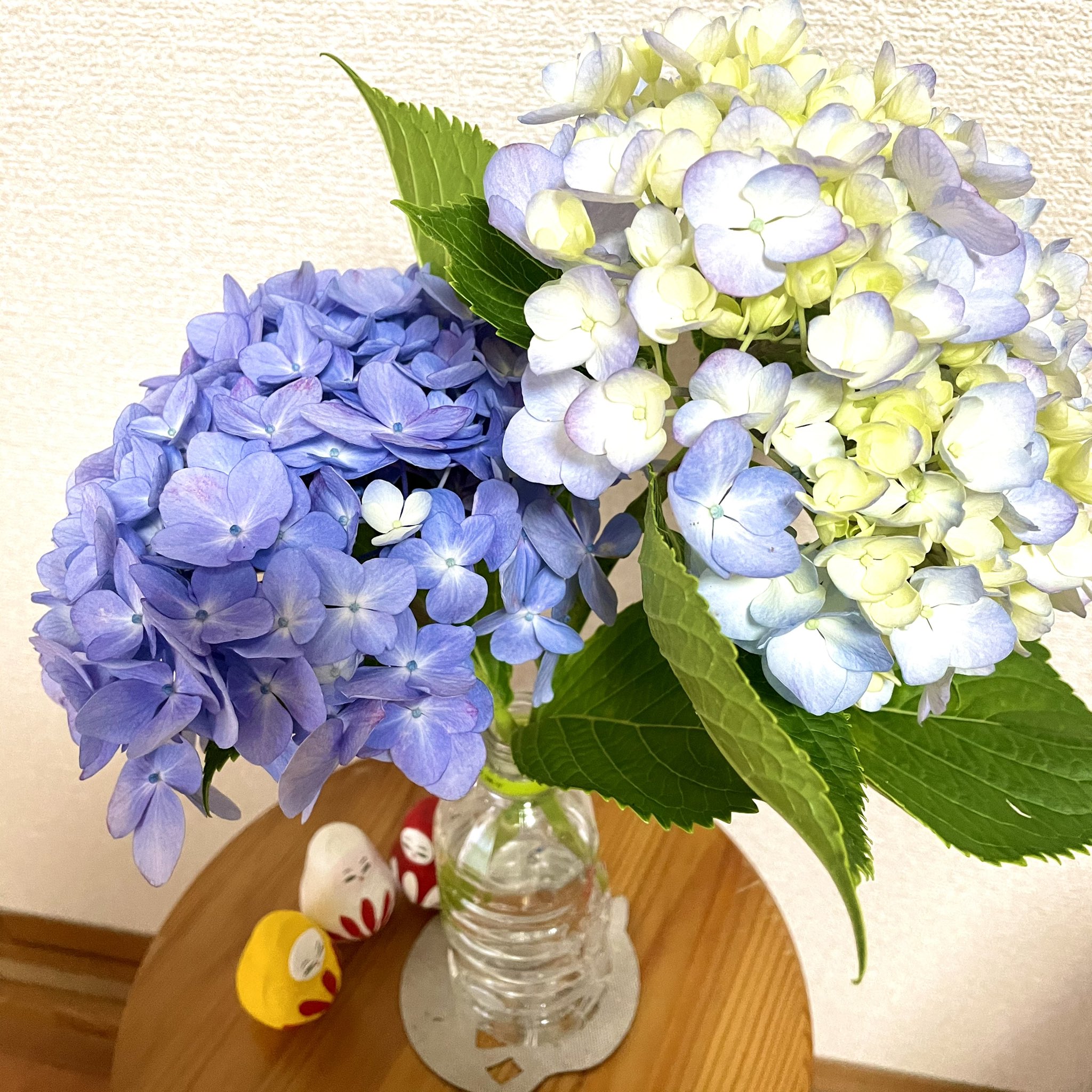 ペットボトル花瓶 Twitter Search Twitter
