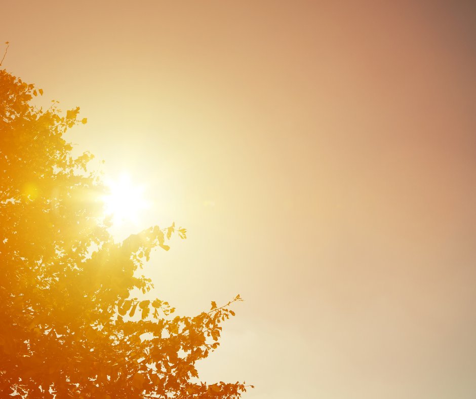 We #envirolove this <a href="/BBCSport/">BBC Sport</a> clip about how extreme heat affects athletes I bbc.in/3zv2Djc

Join the #SEAChange to start doing more {for the world} with less {footprint} I sportsenvironmentalliance.org/join-the-movem… 

#SEA_theChange #NoPlanetNoPlay #ClimateChange