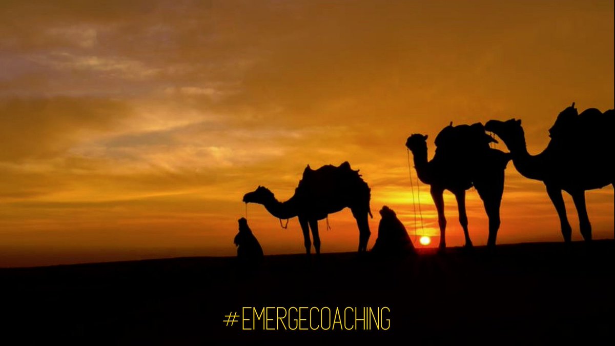 Dr Adrian Nelson-Pratt tweet media