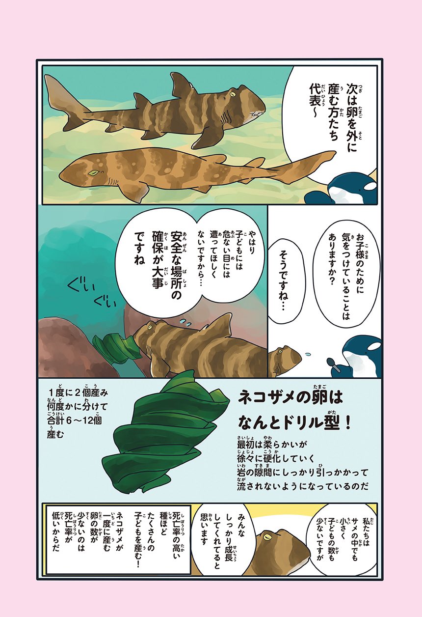 まつおるか 新刊発売中 على تويتر サメのご家庭 それぞれすぎ 1 2 T Co Yi0c537o09 تويتر