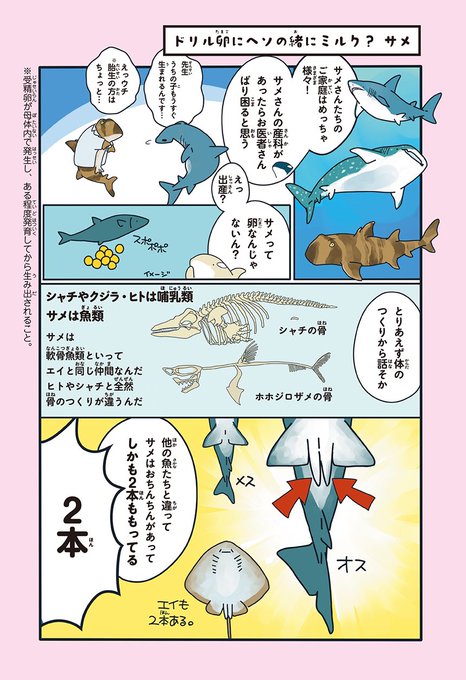 まつおるか 新刊発売中 Matsuorca524 さんのマンガ一覧 2ページ ツイコミ 仮 まつおるか 新刊発売中 Matsuorca524 さんのマンガ一覧 2ページ ツイコミ 仮