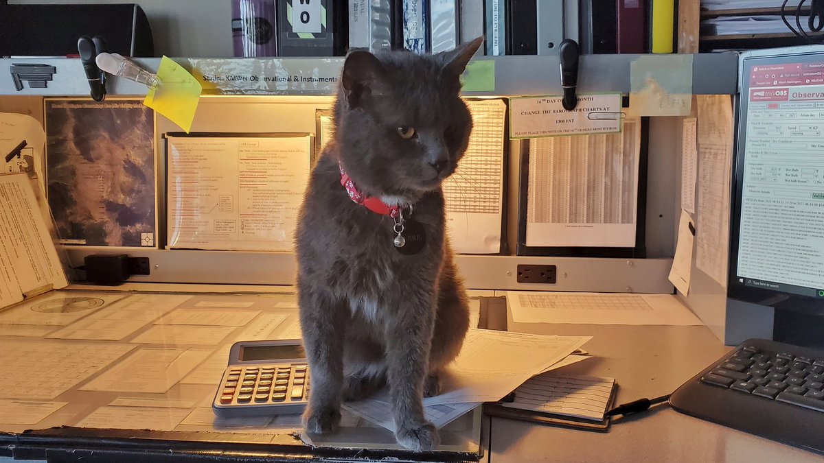 WXKnapper's tweet photo. Nimbus helping me out at the @MWObs weather desk this morning.
#nh #cat #wxcat https://t.co/QIlfuorggi