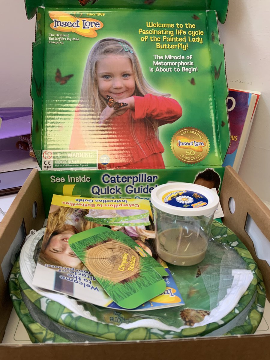 ABCPschool's tweet image. Something very exciting arrived in #Class2S today! We are so excited to observe the life cycle of these caterpillars 🐛 in #ABScience