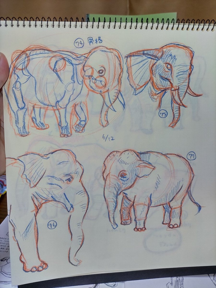 てんもんたまご 記事と絵をかきます 動物イラスト100匹マラソン