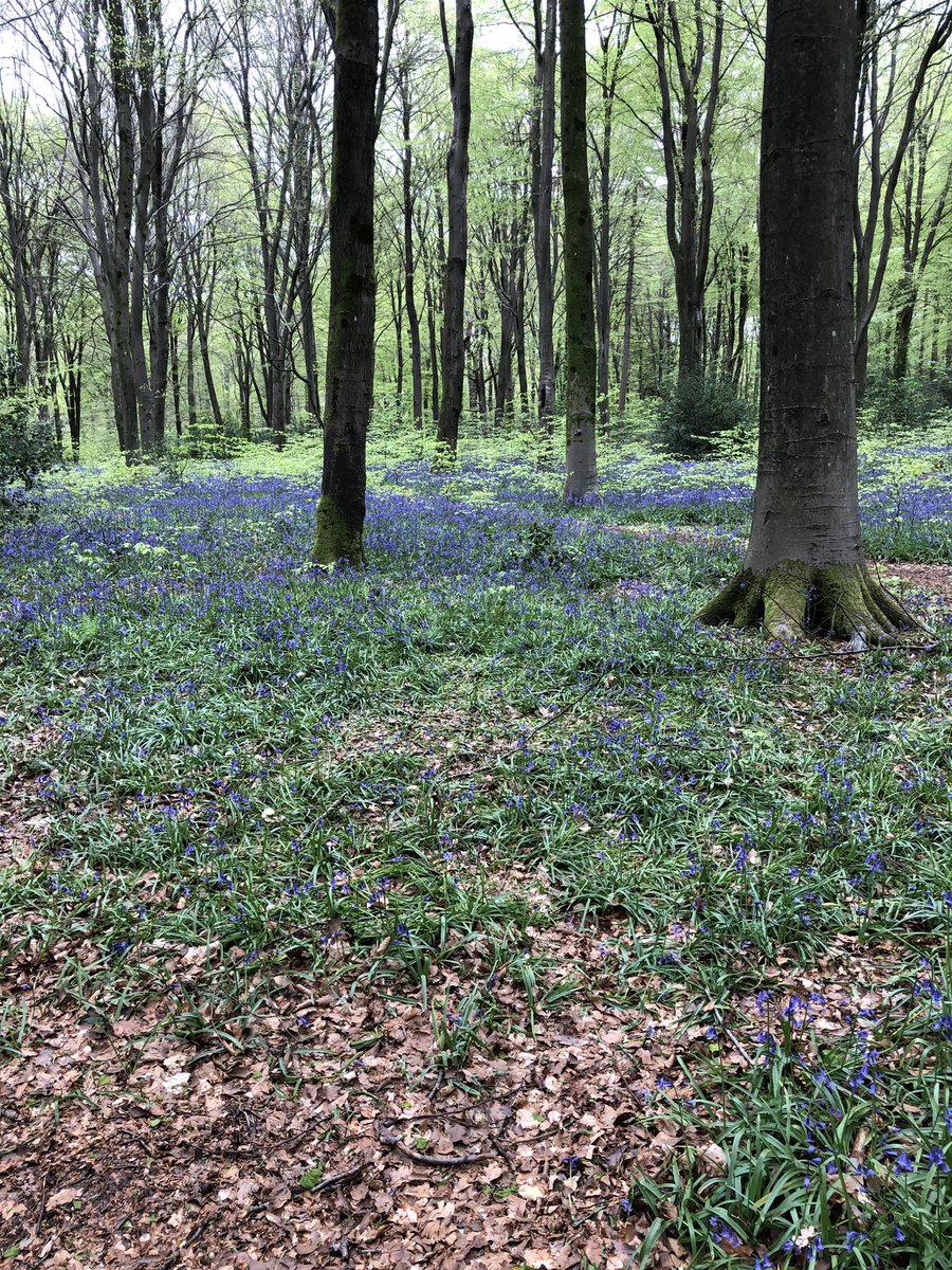 This is Hampshire #HampshireStory