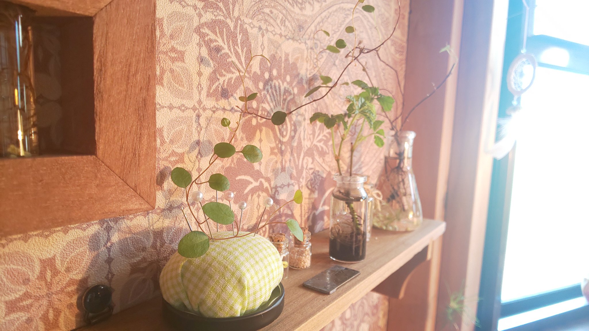 𝓜𝓪𝓸 植物を部屋でちょこっと楽しむなら 水栽培がオシャレ 水に根腐れ防止剤と栄養代わりのソイルを入れておけば時々の水替えと減った水を足すだけでもかなり長持ちします キリトリセカイ おうち時間 ガーデニング もみじ ワイヤープランツ