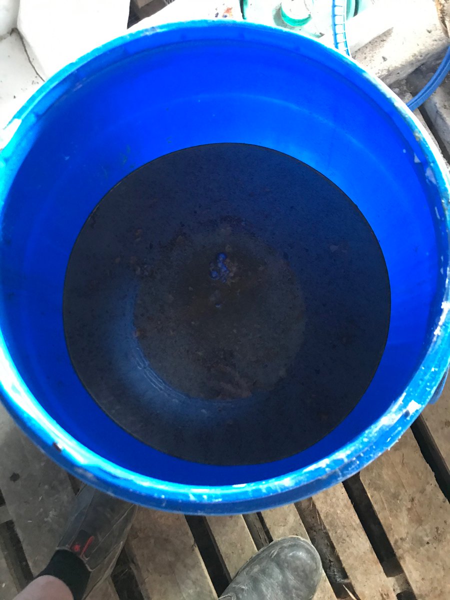 Trichoderma and  microbes from a local wood after colonising half cooked rice , will be brewed for 24 hours , then lactobacillus added before spraying on head spray on winter wheat . Homemade biological (bugs n jugs )😁 putting life into fields .