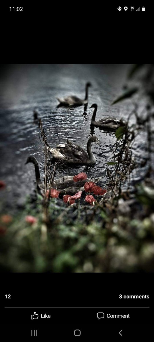 Picture I took years ago.  Sorry.  I'm going through my photos.