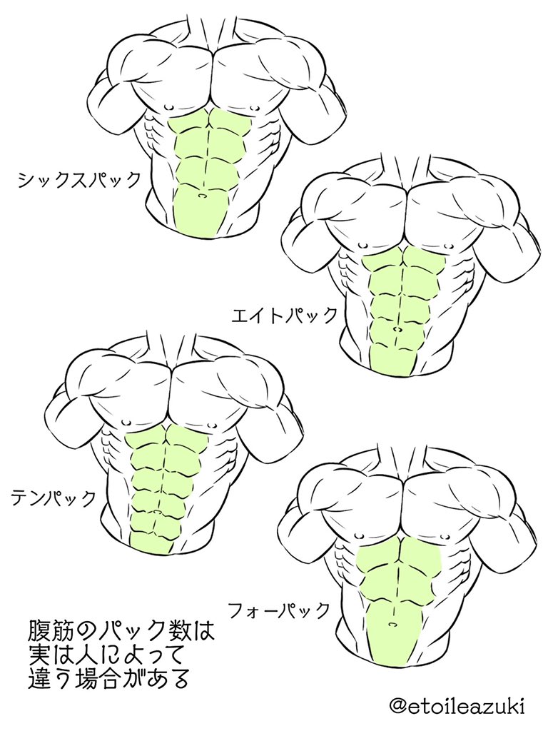 Twitter筋肉の描き方シリーズ 腹筋 筋肉のイラスト制作のことなら 筋肉イラスト製作所