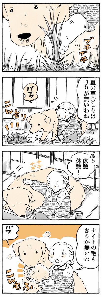 冬毛こんもふ☁️☁️

#姫ばあちゃんとナイト
(単行本発売中!📕) 
