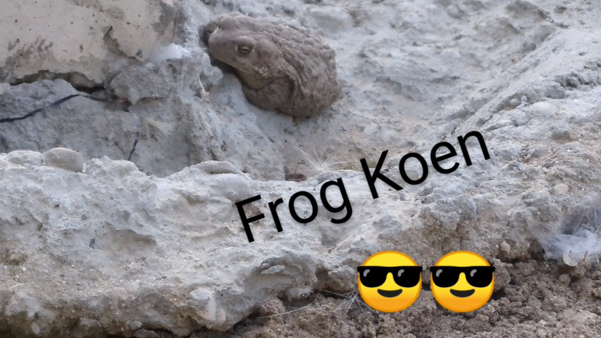 pobratos1's tweet image. @SlijkermanKoen @dimitrise_