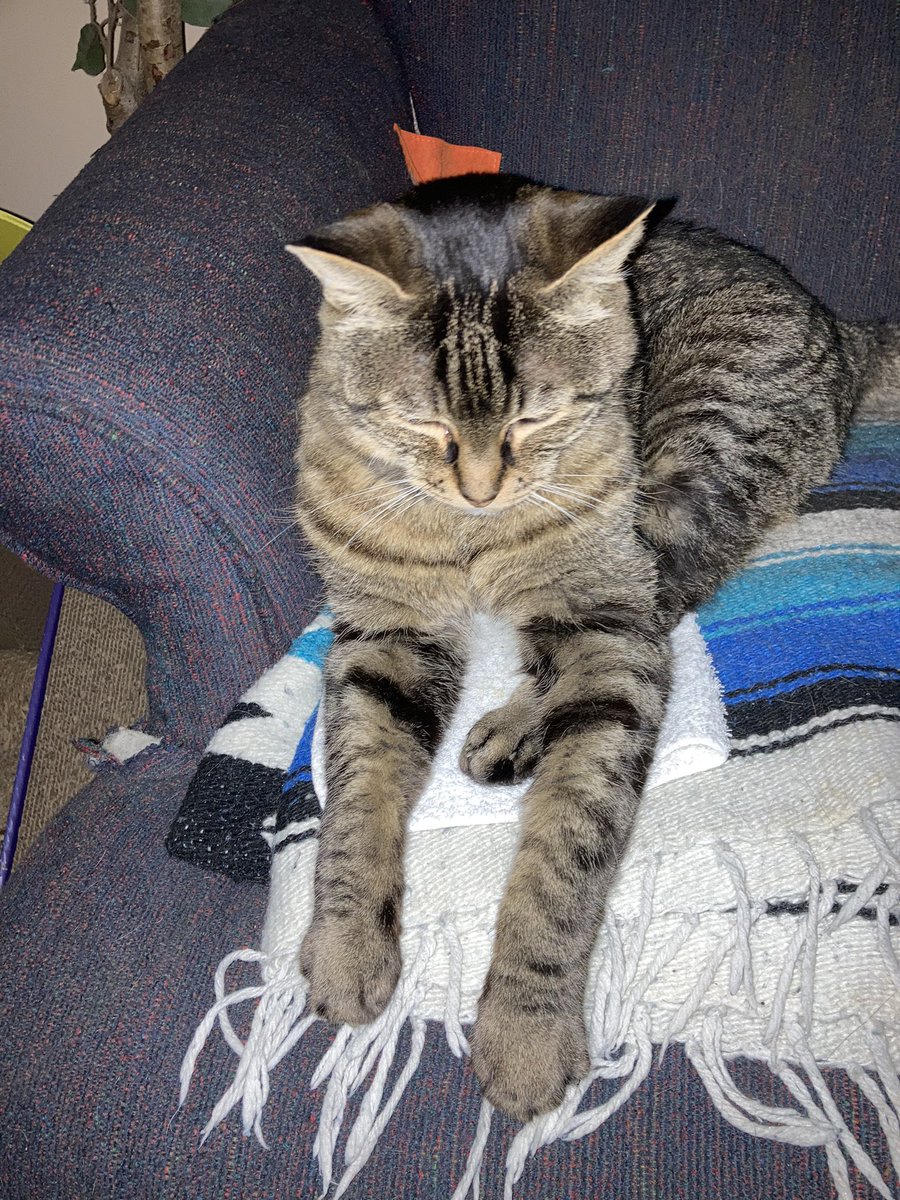 ModePj's tweet image. 