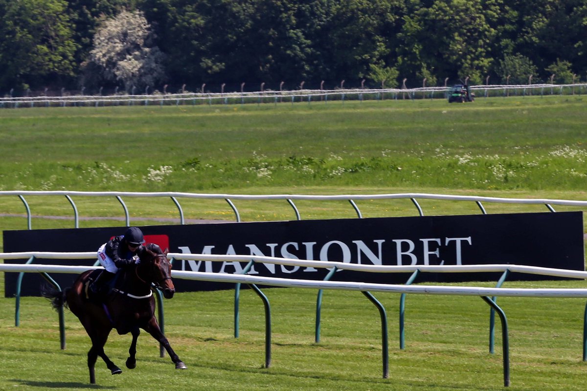 Following his win at Nottingham last week with Hollie Doyle on board, OCEANLINE is running in the 4.20 at Haydock today. Good luck to all connections. 🤞🤞🤞 <a href="/AlanKingRacing/">AlanKingRacing</a> <a href="/HollieDoyle1/">Hollie Doyle</a>