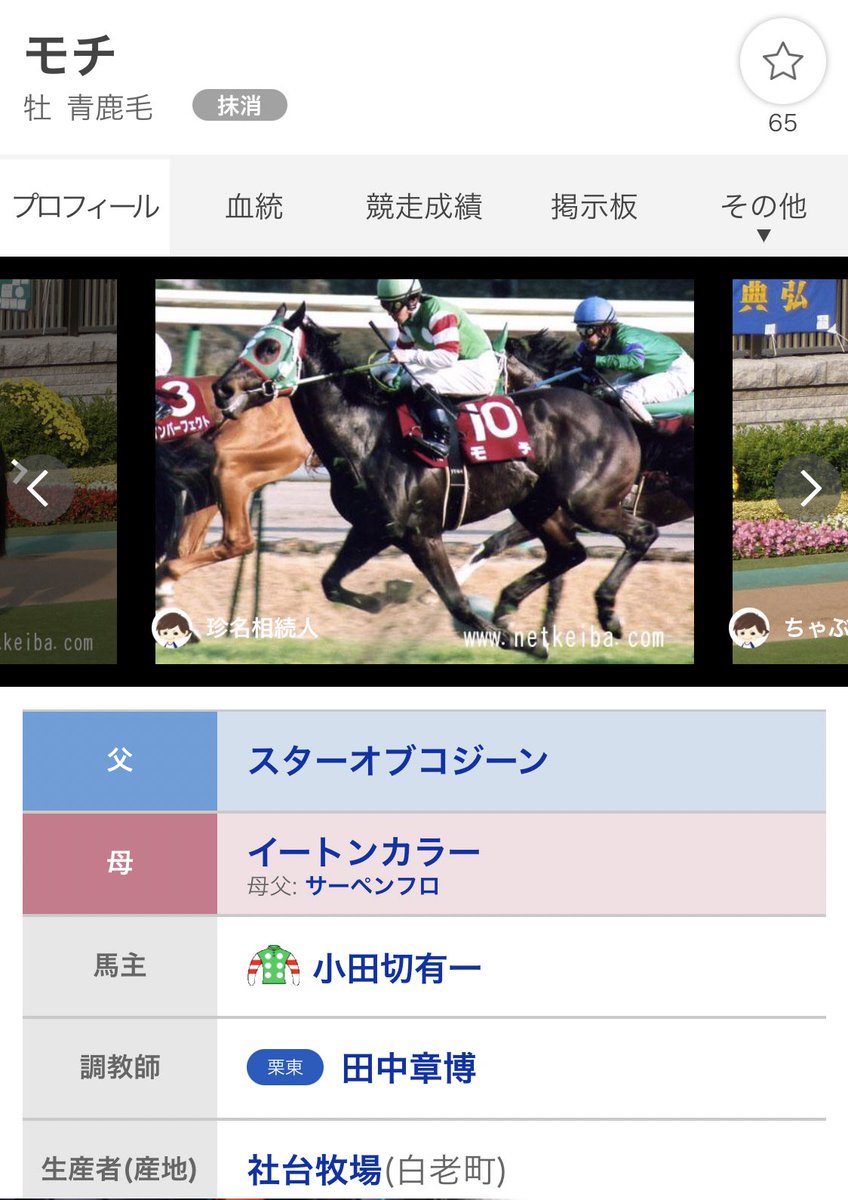 過去いち可愛い名前の馬 ハシルヨミテテが話題に 実況でニッコリしそう 他にもおもろい馬の珍名が続々と発掘される 2ページ目 Togetter 過去いち可愛い名前の馬 ハシルヨミテテが話題に 実況でニッコリしそう 他にもおもろい馬の珍名が続々と発掘される 2ページ目 Togetter