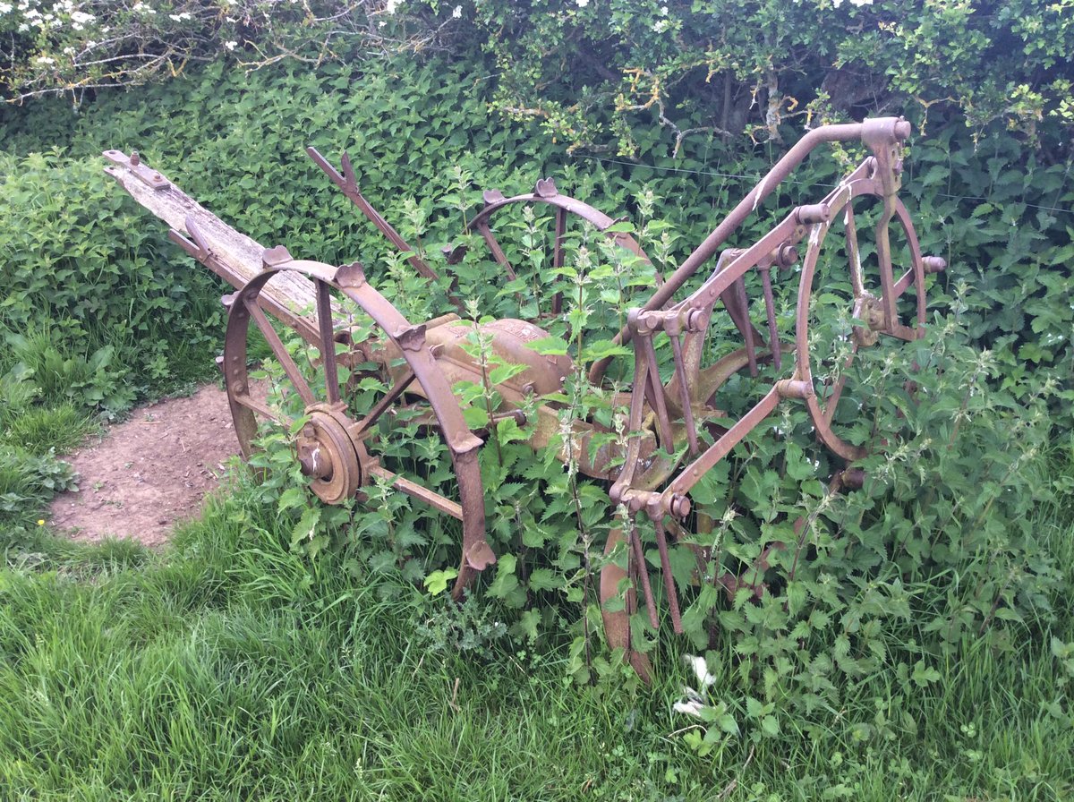 Kelvin pate tweet media