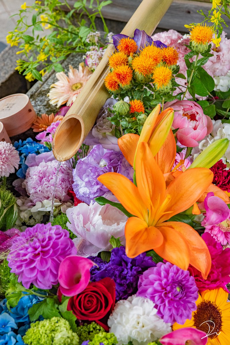 うさだぬ 京都写真 Tlをカラフルなお花まみれにする 京都の花手水がお花まみれで綺麗なんです