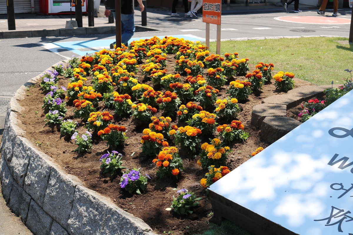 さいたま市大宮区役所 6月8日 火 大宮駅東口 大宮駅西口 北大宮駅 大宮公園駅の駅前花壇に お花を植えました 写真は大宮駅東口駅前花壇です 黄色やオレンジのマリーゴールドや青いペチュニアなどを植え 彩りあざやかな花壇になりました なお