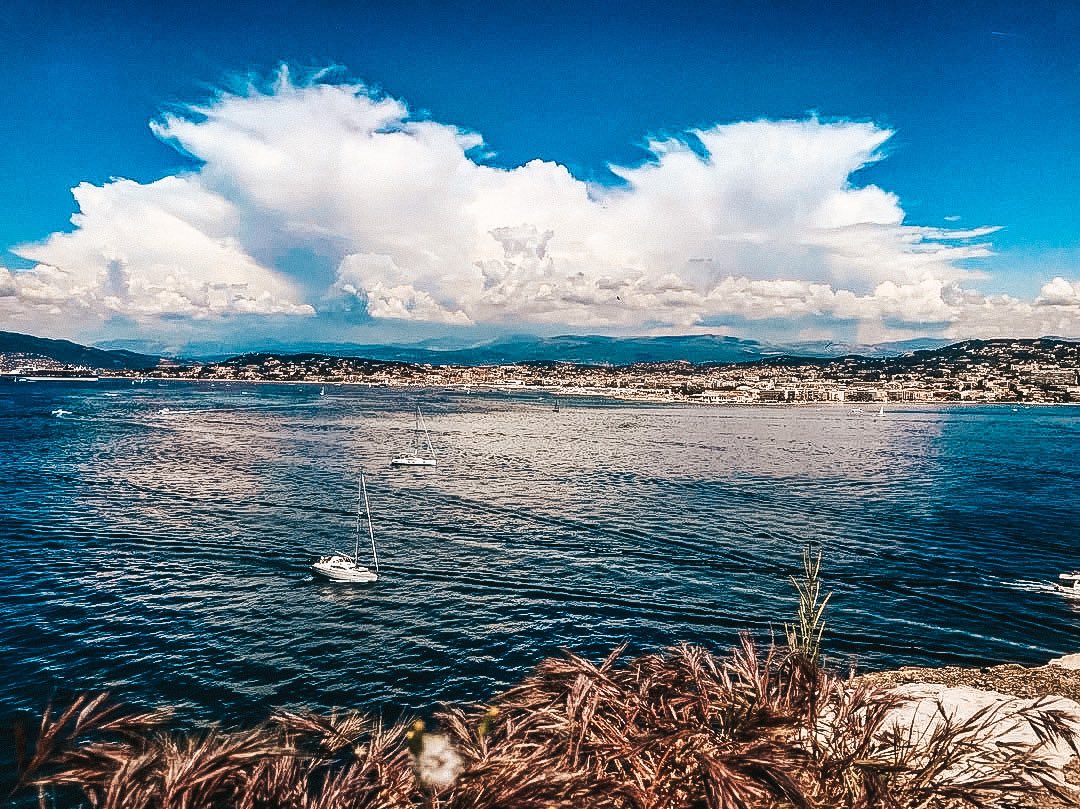 DermengiuMarian's tweet photo. #Lérins Islands #France #Cannes #Paca📸@DermengiuMarian #Travel #photooftheday #ILoveFrance #Sea #Traveling #CotedAzur #ExploreCoteDazur #beautifulplace #FrenchRiviera #PhotoOfTheDay #VisitCannes #island #Festival #Film #chateau #AlpesMaritimes #Tweeter https://t.co/pGhsXeo8an