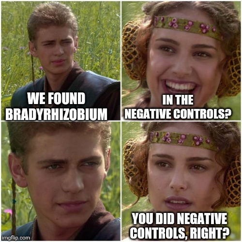 Microbiome