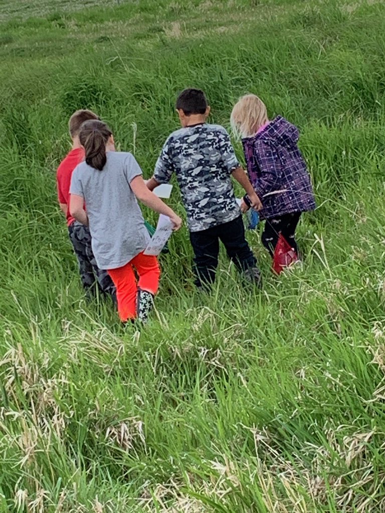 Kyra Sinclair (@sinclair_kyra) on Twitter photo Incredible afternoon @ Redmond Wetlands exploring land, making connections to what we’ve learned about fresh water biomes & discovering what lives in the wet parts of a wetland! #landbasedlearning #outdoorexploration #outdoorlearning #handson #sinclairssuperstars <a href="/sd91bc/">School District 91</a> #bced Incredible afternoon @ Redmond Wetlands exploring land, making connections to what we’ve learned about fresh water biomes & discovering what lives in the wet parts of a wetland! #landbasedlearning #outdoorexploration #outdoorlearning #handson #sinclairssuperstars <a href="/sd91bc/">School District 91</a> #bced