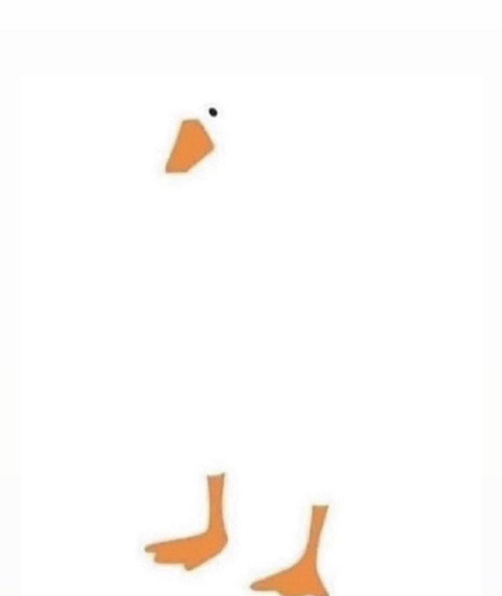 Elianova06's tweet photo. Draw a duck and share your art 🦆 🎨 https://t.co/qimtJAj0TR